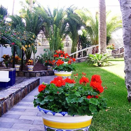 Tamaragua *