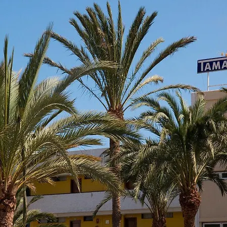 Lägenhet Tamaragua *